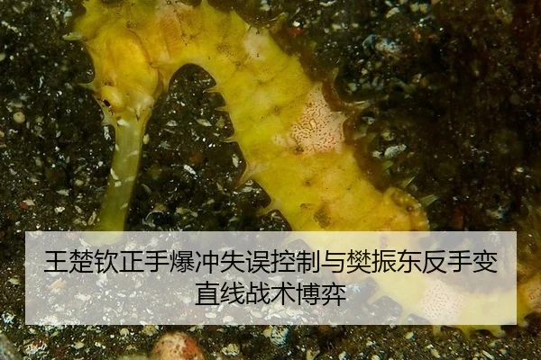 王楚钦正手爆冲失误控制与樊振东反手变直线战术博弈
